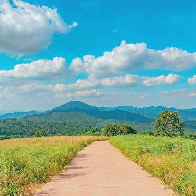 房价走势最新消息